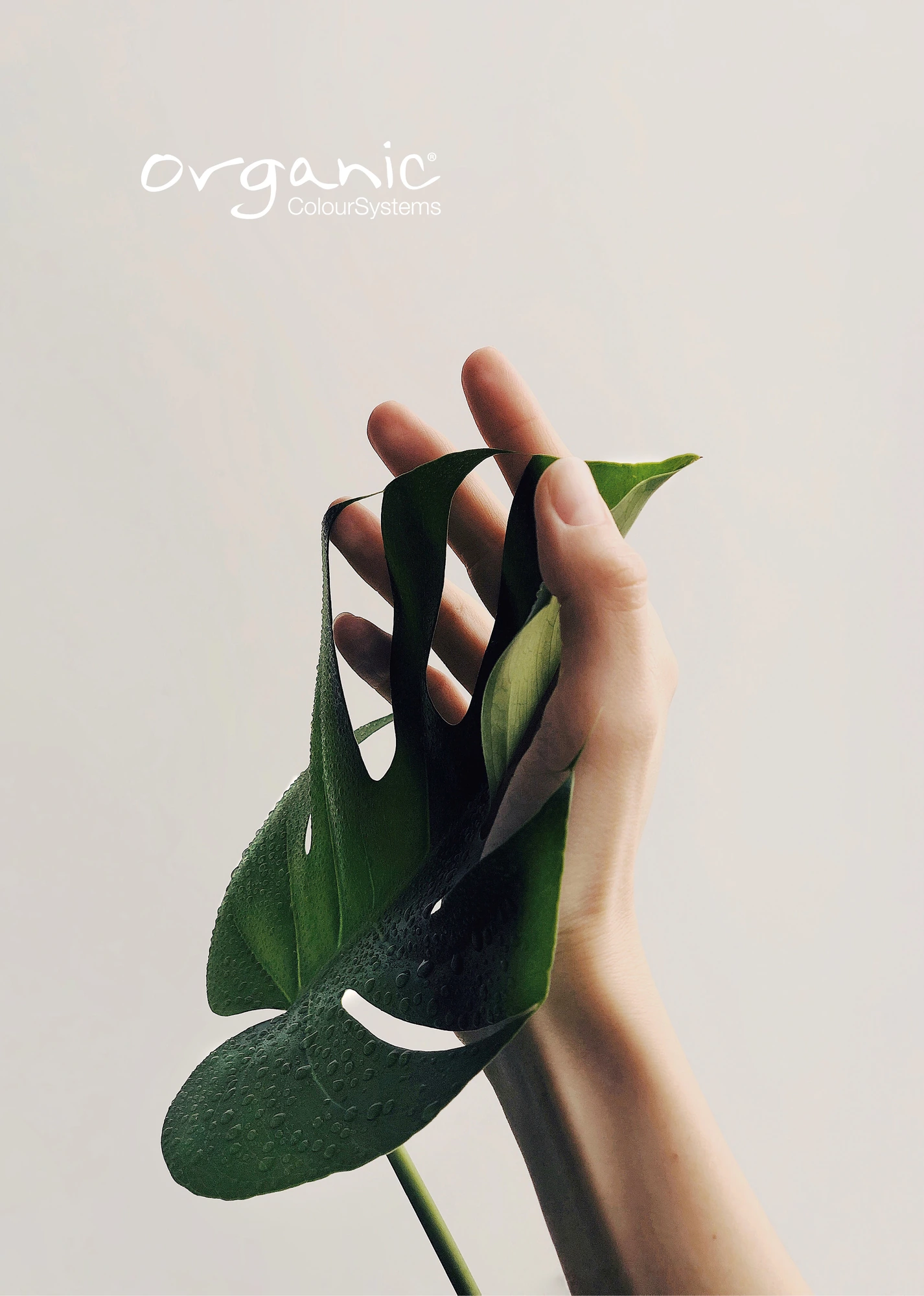 Organic Colour Systems